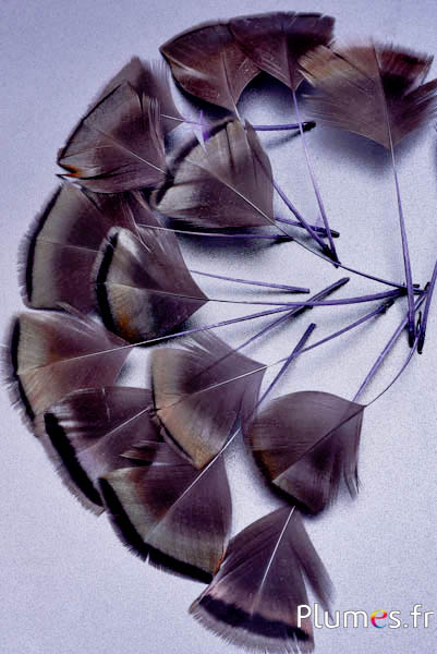 Blütenblätter aus Federn - 6-8 x 3-4 cm - grau-antrazit metallisiert